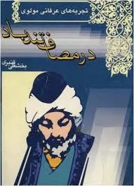 جلد کتاب در مصاف تندباد