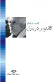 جلد کتاب ققنوس در باران
