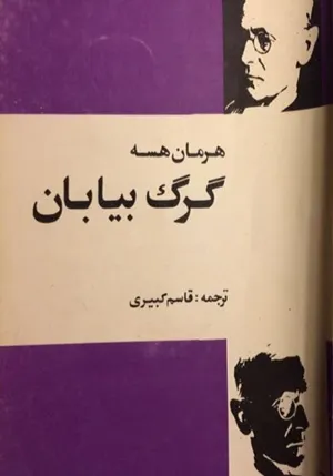 جلد کتاب گرگ بیابان