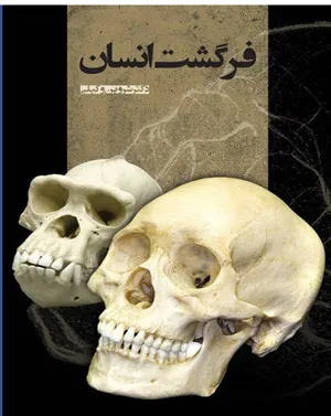 جلد کتاب کتاب فرگشت انسان