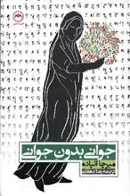 جلد کتاب جوانی بدون جوانی