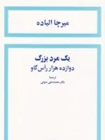 جلد کتاب یک مرد بزرگ دوازده هزار رأس گاو