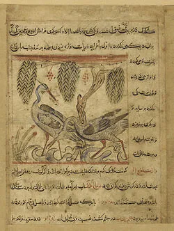 جلد کتاب منافع حیوان