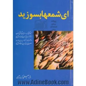 جلد کتاب دیوان رحیم معینی
