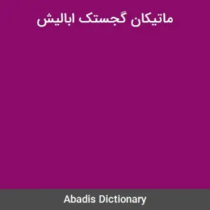 جلد کتاب ماتیکان گجستک ابالیش