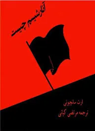 جلد کتاب آنارشیسم چیست