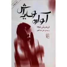 جلد کتاب آواره و سایه‌اش
