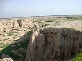 جلد کتاب مختصری از تاریخ شوش