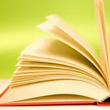 جلد کتاب روابط حیره با ساسانیان