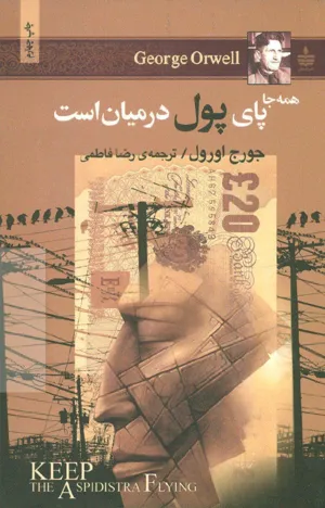 جلد کتاب همه جا پای پول در میان است