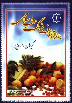 جلد کتاب دایره المعارف بزرگ طب اسلامی
