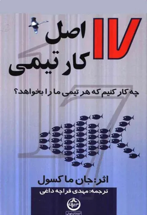 جلد کتاب 17 اصل کار تیمی