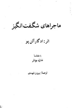 جلد کتاب ماجراهای شگفت انگیز