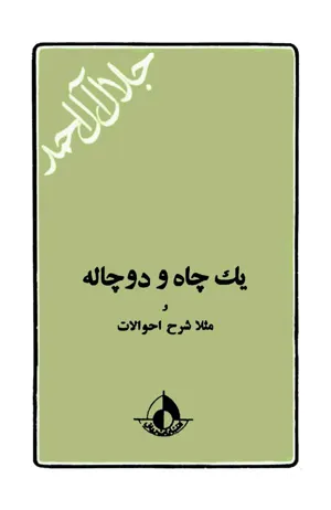 جلد کتاب یک چاه و دو چاله و مثلا شرح احوالات