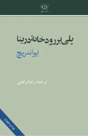جلد کتاب پلی بر رودخانه درینا
