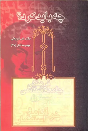 جلد کتاب چه باید کرد؟ - مجموعه آثار 20