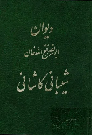 جلد کتاب دیوان شیبانی کاشانی