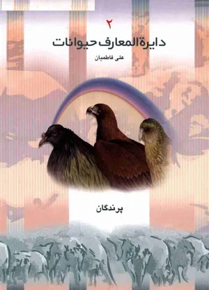 جلد کتاب دایره المعارف حیوانات جلد دوم - پرندگان