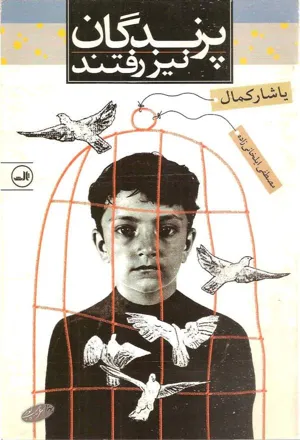 جلد کتاب پرندگان نیز رفتند