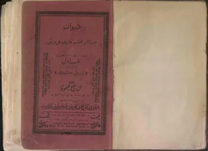 جلد کتاب دیوان عارف قزوینی