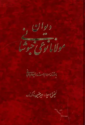 جلد کتاب دیوان مولانا نوعی خبوشانی