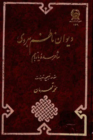 جلد کتاب دیوان ناظم هروی