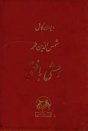جلد کتاب دیوان کامل وحشی بافقی تصحیح ایرج افشار