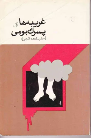 جلد کتاب غریبه ها و پسرک بومی