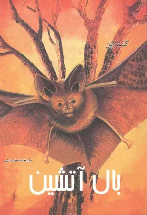 جلد کتاب بال آتشین