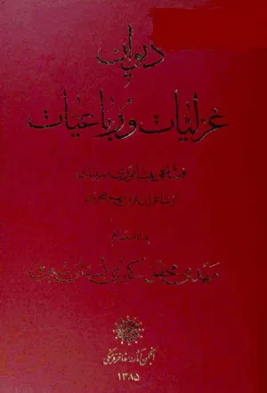 جلد کتاب دیوان غزلیات و رباعیات
