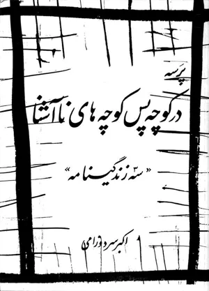جلد کتاب پرسه در کوچه پس کوچه های نا آشنا