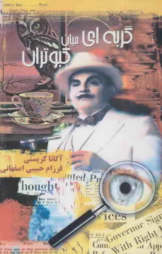 جلد کتاب گربه ای میان کبوتران ( قتل در مدوبانک )