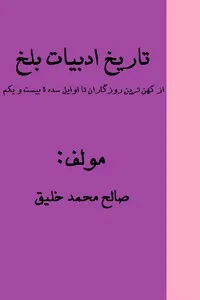 جلد کتاب تاریخ ادبیات بلخ