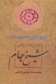 جلد کتاب درویش ستیهنده از میراث عرفانی شیخ جام
