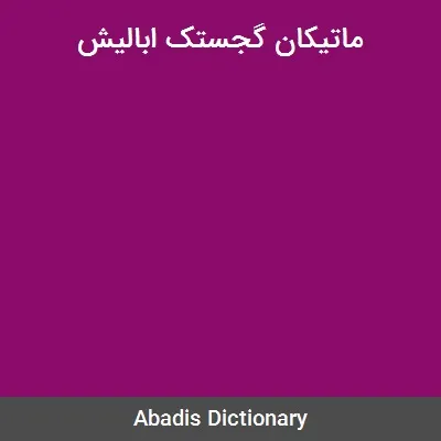جلد کتاب ماتیکان گجستک ابالیش