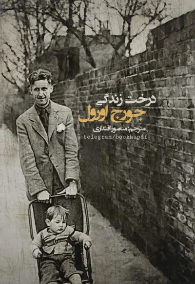 جلد کتاب درخت زندگی