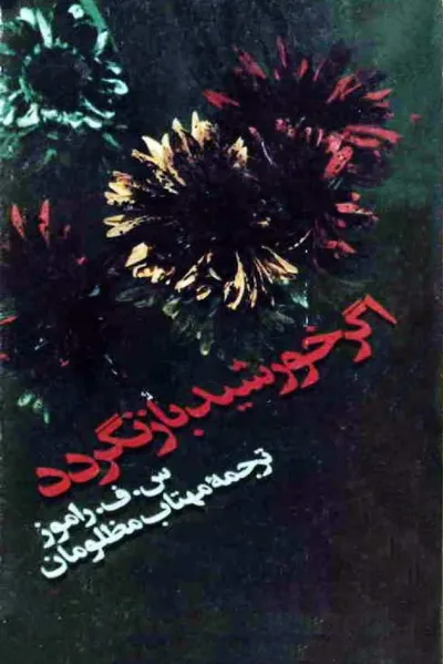 جلد کتاب اگر خروشید بازنگردد