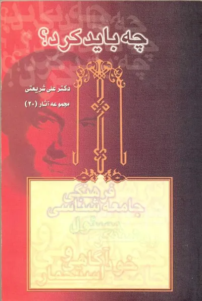 جلد کتاب چه باید کرد؟ - مجموعه آثار 20