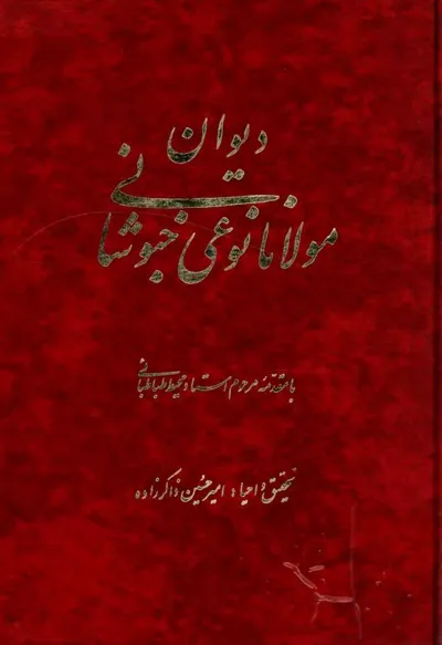 جلد کتاب دیوان مولانا نوعی خبوشانی