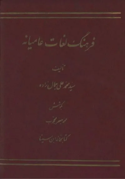 جلد کتاب فرهنگ لغات عامیانه